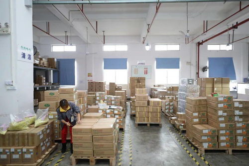 家門口的機遇 賓陽電子廠招工，提供食宿，探索互聯網銷售新方向